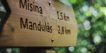 Edirne8217de-Feci-Kaza-Kamyonet-TIR8217a-Carpti-2-Olu-1-Yarali-featured