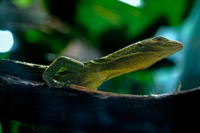 Gebze8217de-Eglence-Mekanina-Kanli-Saldiri-2-Olu-3-Yarali-featured