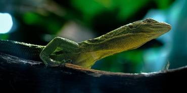 Gebze8217de-Eglence-Mekanina-Kanli-Saldiri-2-Olu-3-Yarali-featured